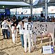 Fenacampo 2016