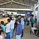 Fenacampo 2016